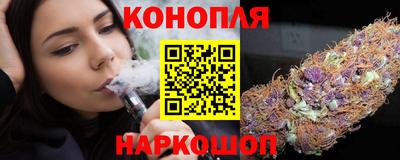 крисы Кунгур