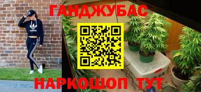 крисы Кунгур