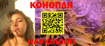 крисы Кунгур