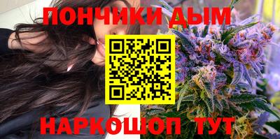 шишки Краснодар