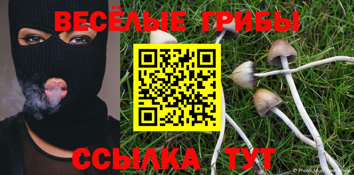 Галлюциногенные грибы MAGIC MUSHROOMS Вязники
