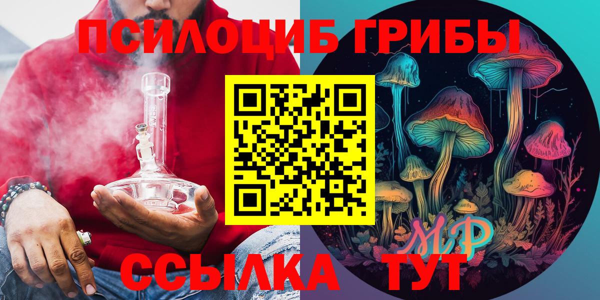 Псилоцибиновые грибы прущие грибы  Вход с VPN  Псилоцибиновые грибы мухоморы  Вязники 